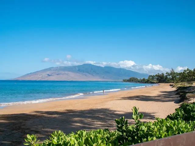 Listing Image for 44 Kanani Rd 2-103 37 of 44
