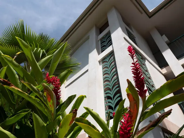 Listing Image for 44 Kanani Rd 2-103 40 of 44
