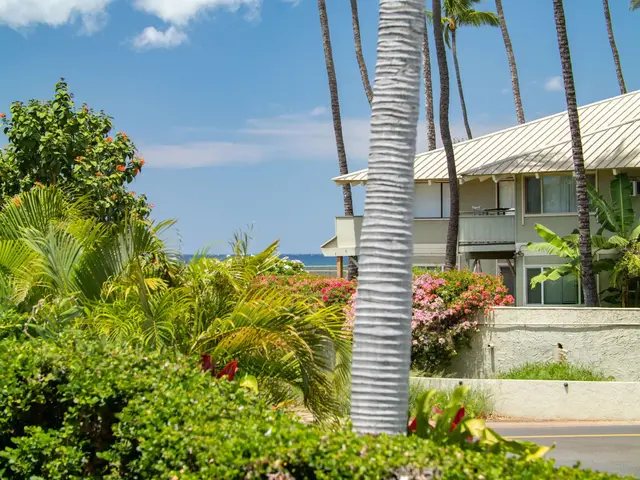 Listing Image for 44 Kanani Rd 2-103 42 of 44