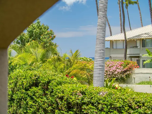 Listing Image for 44 Kanani Rd 2-103 8 of 44