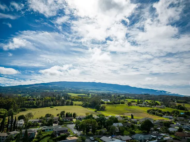 Listing Image for 98 Mahola St 44 of 45