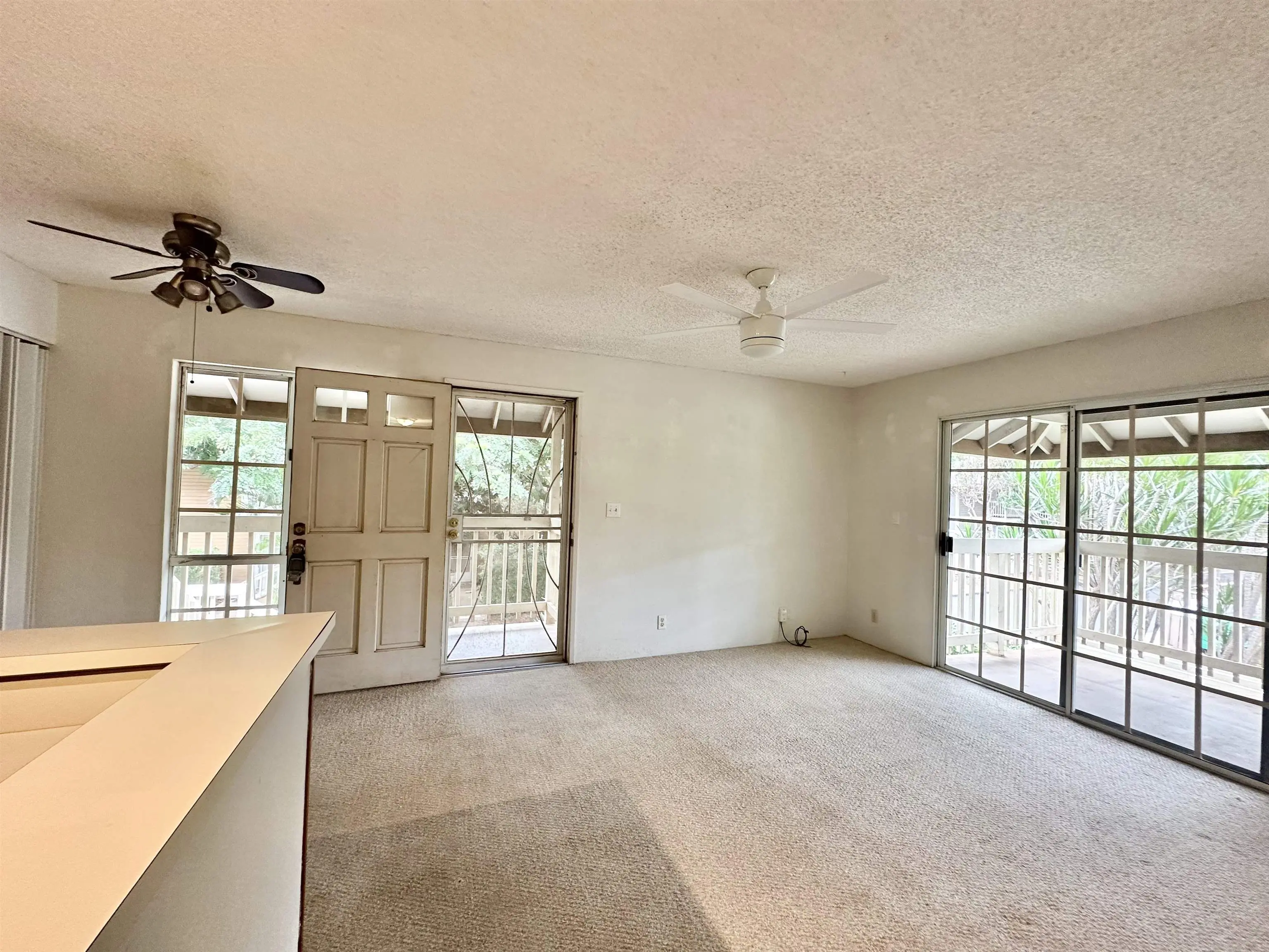 Photo of Listing #407635