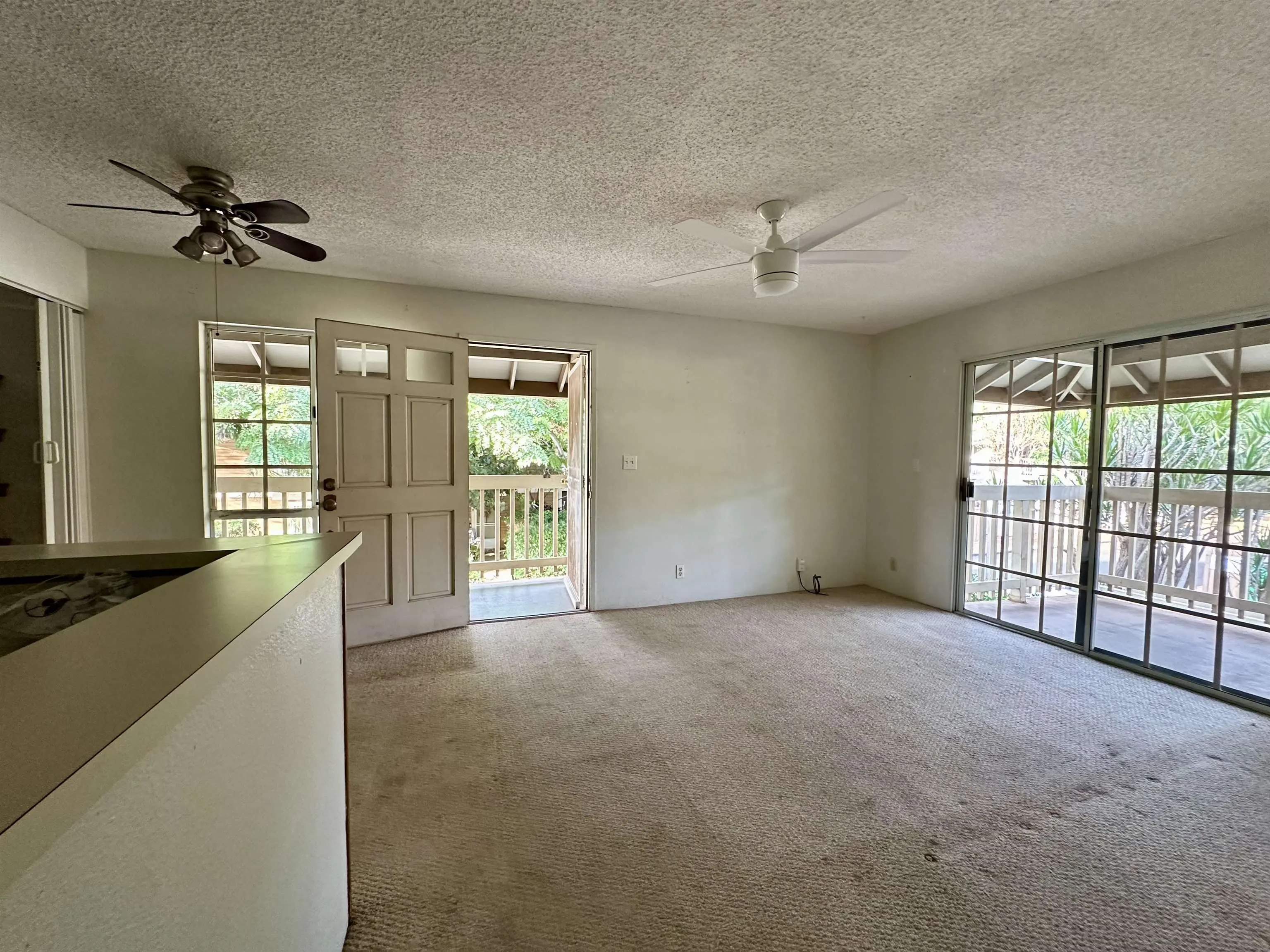 Photo of Listing #407635