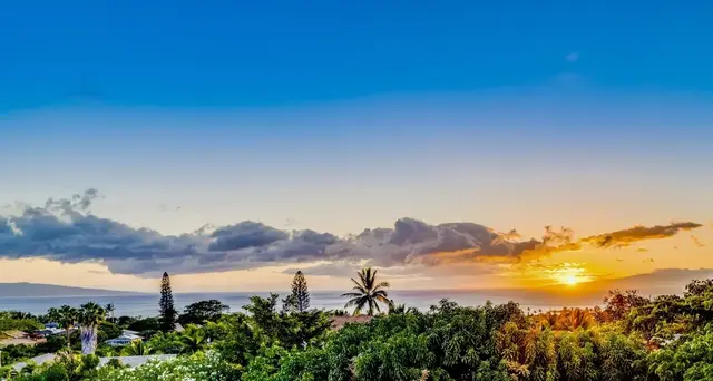 Listing Image for 3366 Kehala Dr 1 of 50