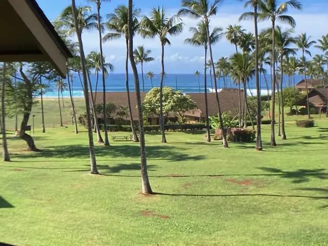 Listing Image for 0 Kepuhi Pl 2201 36 of 46