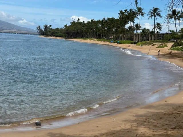 Listing Image for 83 W Kapu Pl 2 of 29