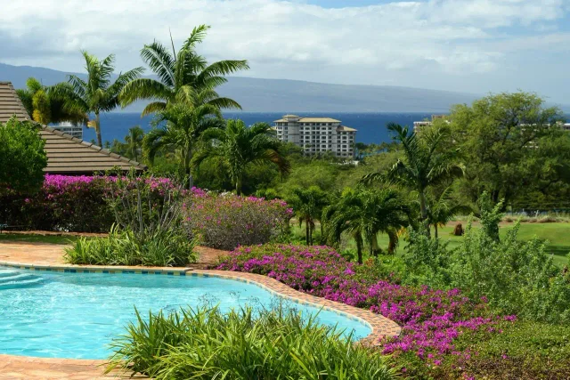 Listing Image for 104 Anapuni Loop 15 of 45