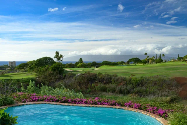 Listing Image for 104 Anapuni Loop 40 of 45