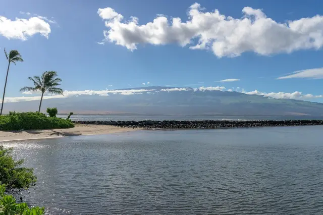 Listing Image for 20 Hauoli St 302 12 of 25