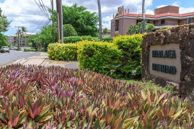Listing Image for 20 Hauoli St 302 16 of 25