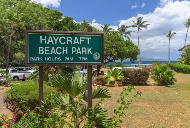 Listing Image for 20 Hauoli St 302 17 of 25