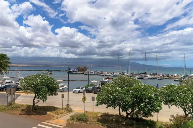 Listing Image for 20 Hauoli St 302 20 of 25