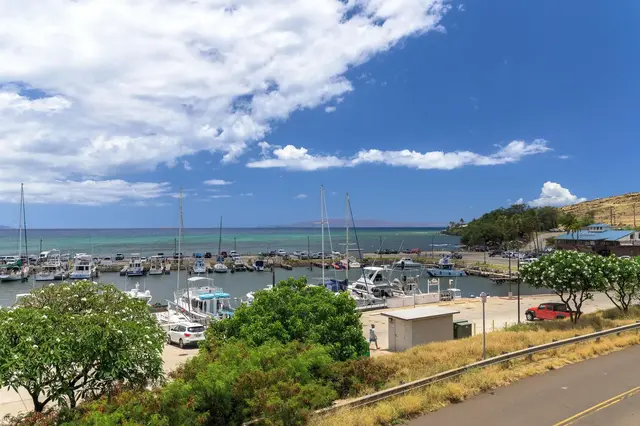 Listing Image for 20 Hauoli St 302 22 of 25
