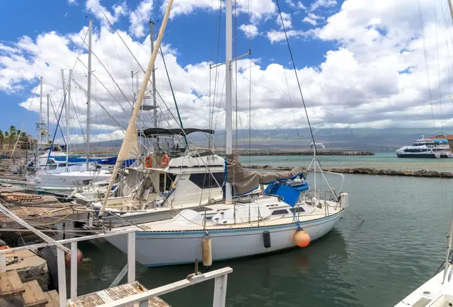 Listing Image for 20 Hauoli St 302 23 of 25