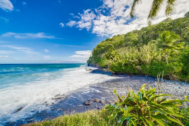 Listing Image for 355 Wailua Rd 16 of 50