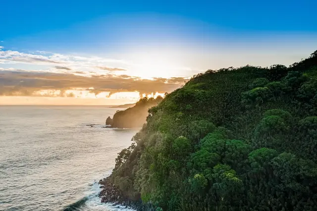 Listing Image for 355 Wailua Rd 47 of 50