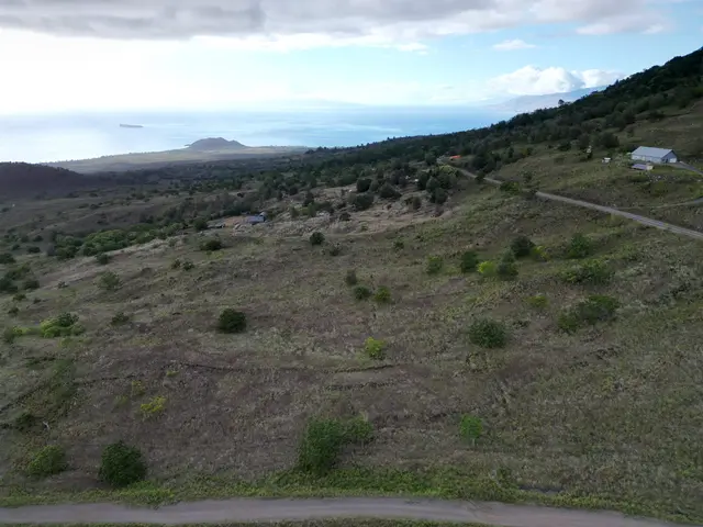 Listing Image for 0 Ulupalakua Rd 1 of 3