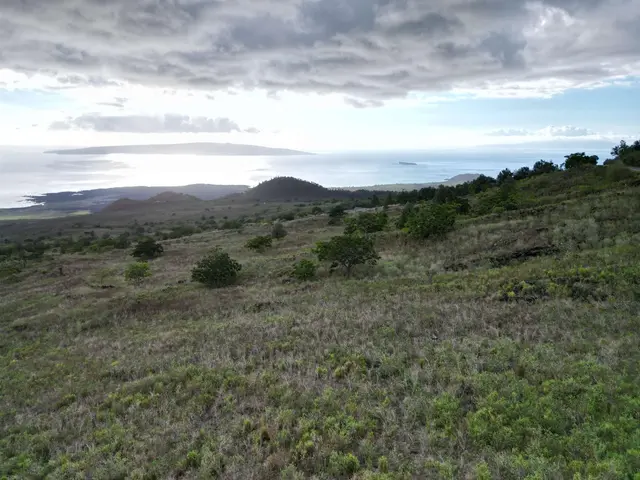 Listing Image for 0 Ulupalakua Rd 2 of 3