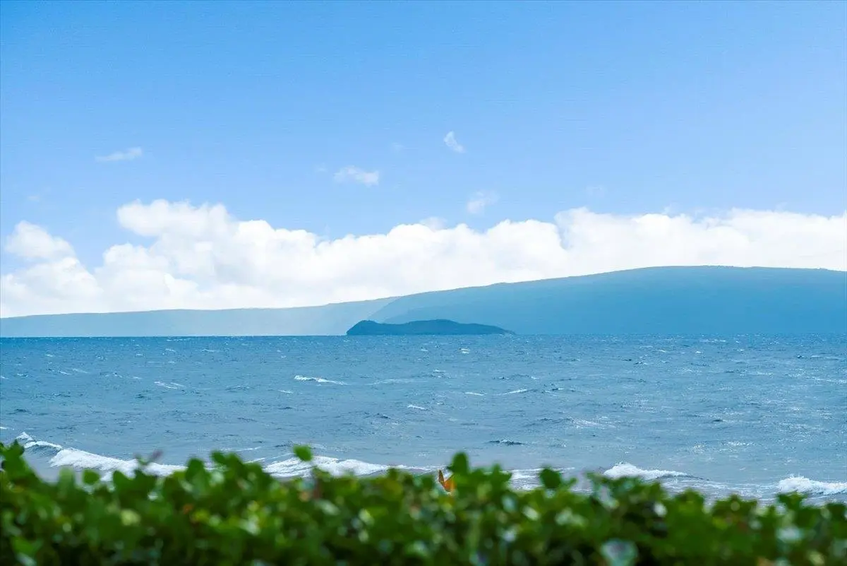 Photo of Listing #408751