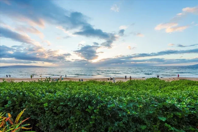 Listing Image for 3060 S Kihei Rd 15 of 50