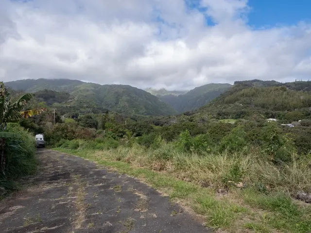Listing Image for 3225 Kahekili Hwy 17 of 37