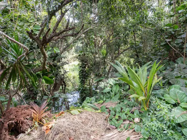 Listing Image for 3225 Kahekili Hwy 26 of 37