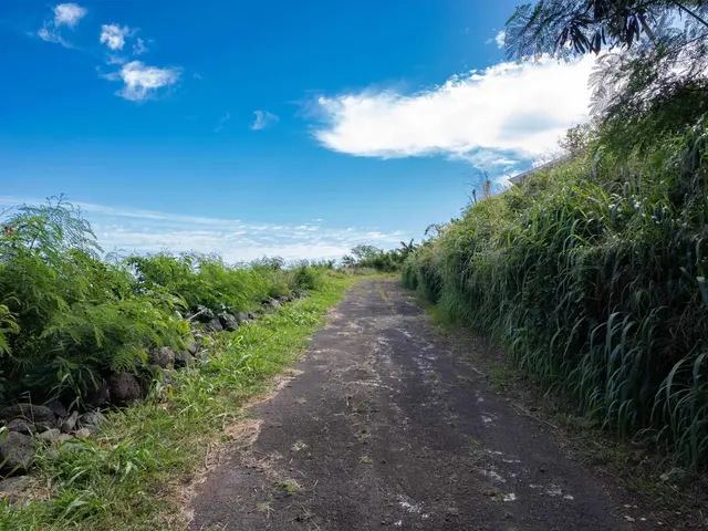 Listing Image for 3225 Kahekili Hwy 32 of 37