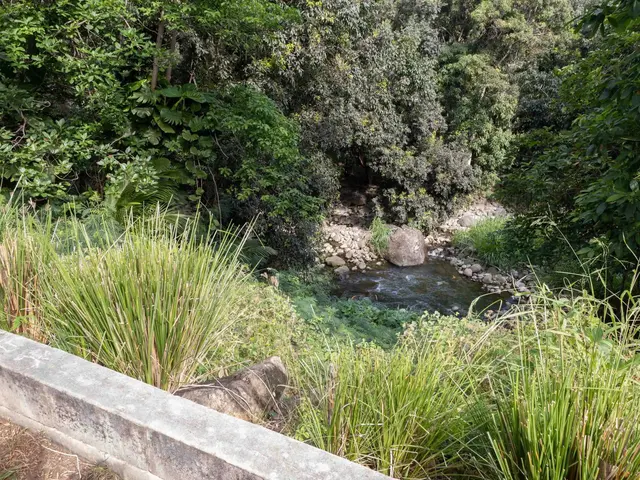 Listing Image for 3225 Kahekili Hwy 33 of 37