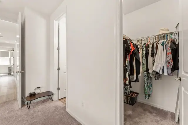 Listing Image for 31 Pakau Pl 67a 34 of 45
