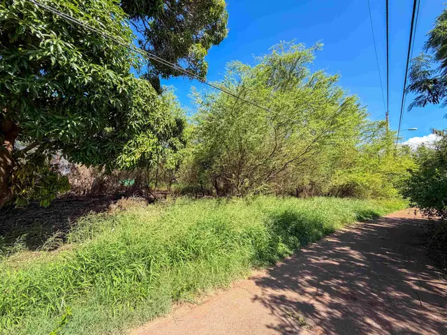 Listing Image for 95 Hotel Ln 2 of 10