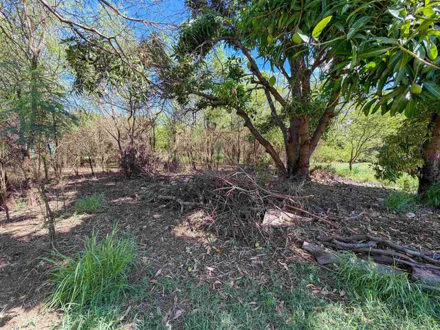 Listing Image for 95 Hotel Ln 5 of 10