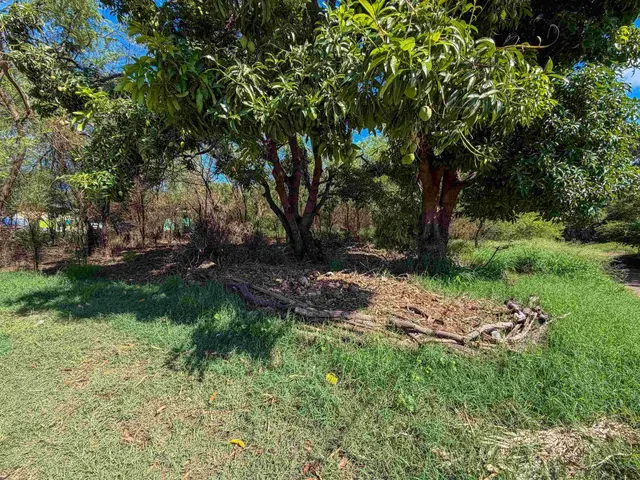 Listing Image for 95 Hotel Ln 7 of 10