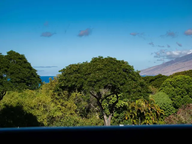 Listing Image for 60 Kai Malu Dr 101 31 of 49