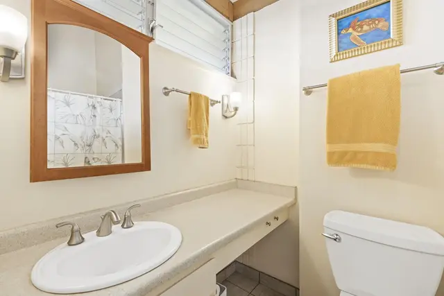 Listing Image for 2619 S Kihei Rd B402 23 of 28