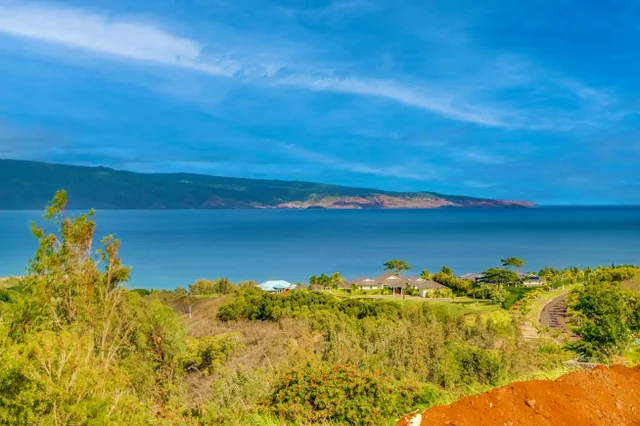 Listing Image for 410 Mahana Ridge St Lot 28 20 of 31