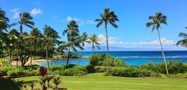 Listing Image for 410 Mahana Ridge St Lot 28 25 of 31