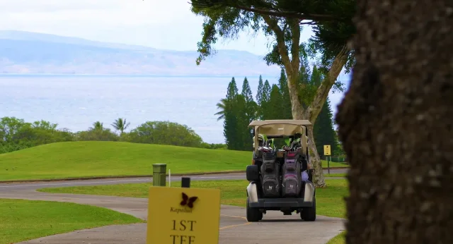 Listing Image for 410 Mahana Ridge St Lot 28 28 of 31