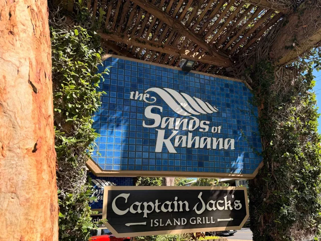 Listing Image for 4299 Lower Honoapiilani Rd 281 49 of 49