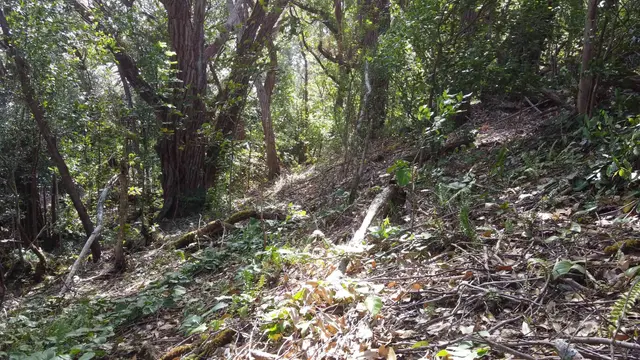 Listing Image for 25 S Lanikai Pl Lot 8 3 of 9