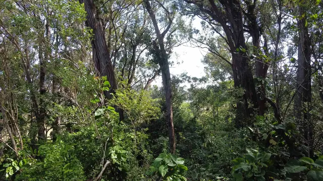 Listing Image for 25 S Lanikai Pl Lot 8 7 of 9