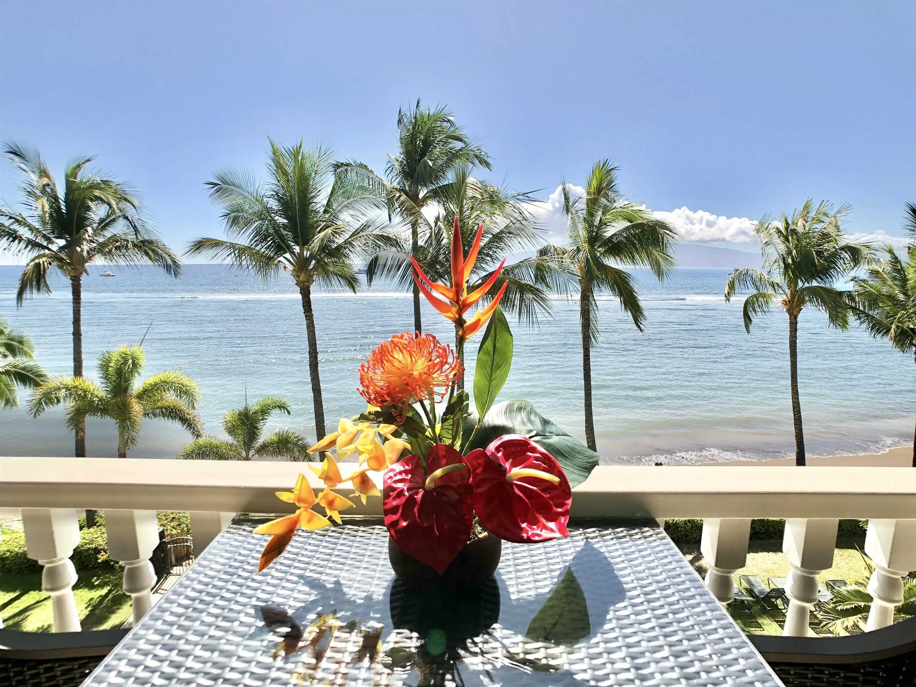 Photo of Listing #409099