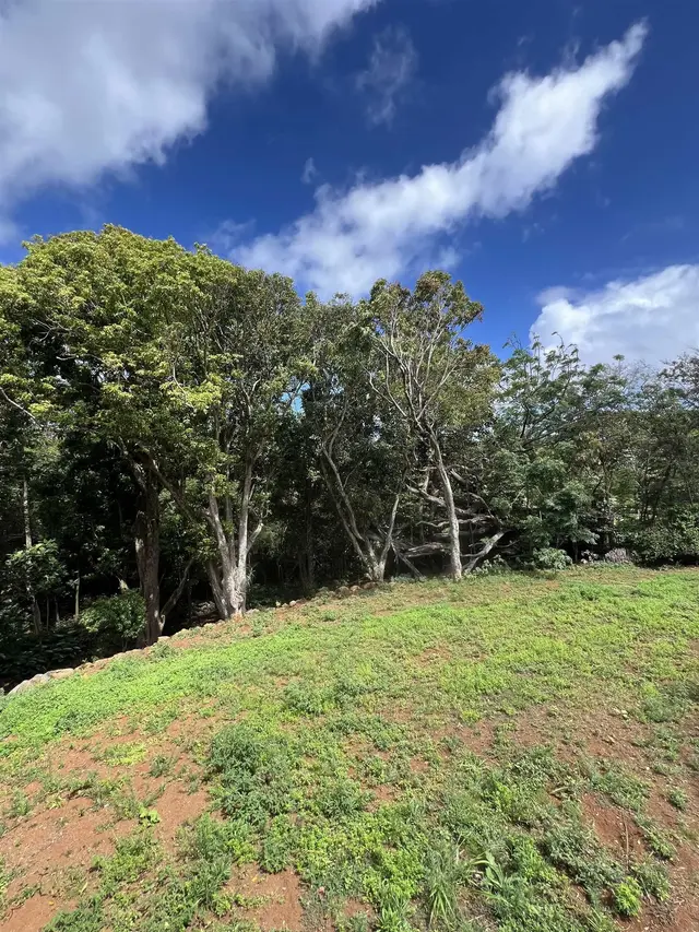 Listing Image for 50 Pauwela Rd Unit B 1 of 9