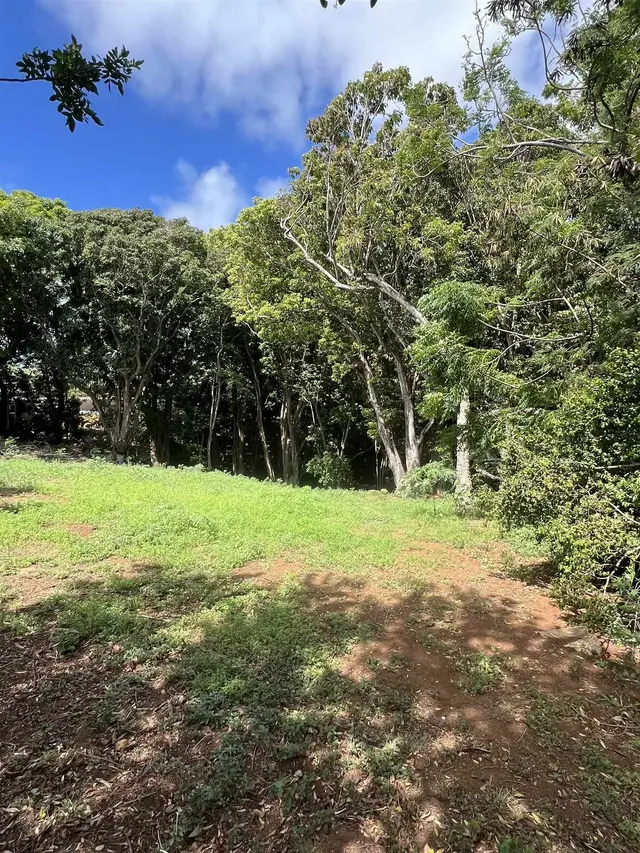 Listing Image for 50 Pauwela Rd Unit B 3 of 9