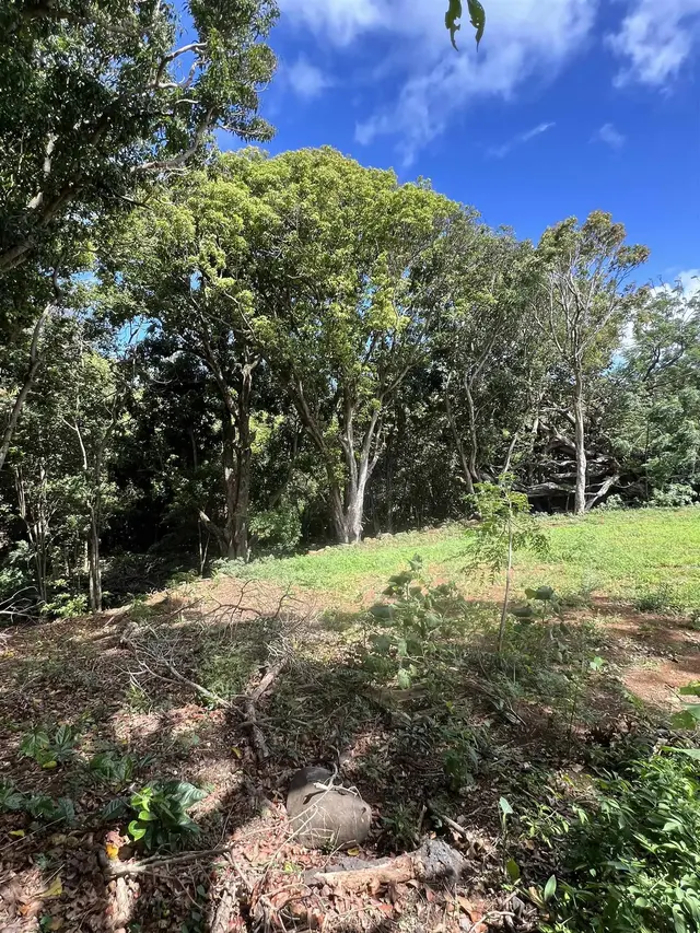 Listing Image for 50 Pauwela Rd Unit B 4 of 9