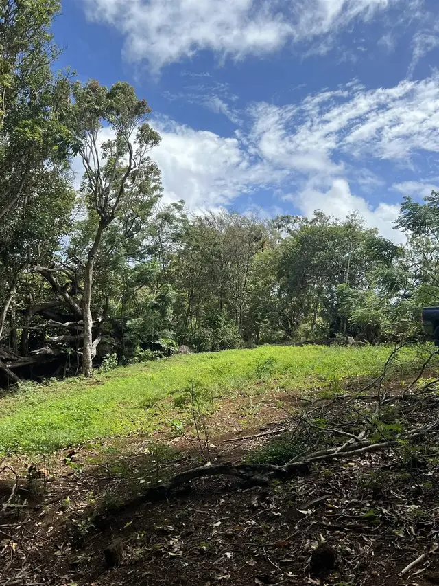 Listing Image for 50 Pauwela Rd Unit B 5 of 9