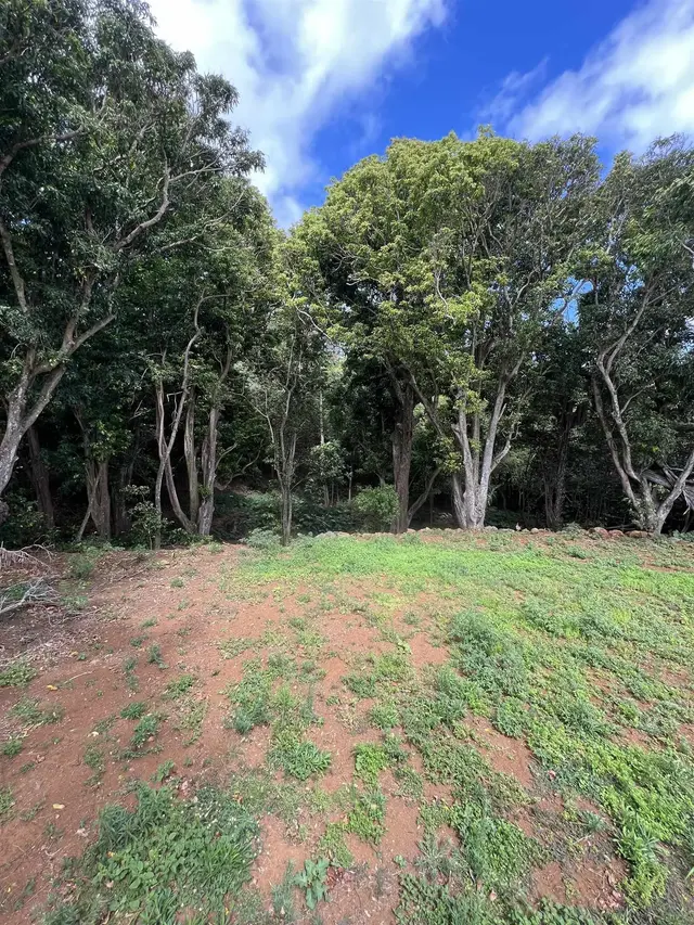 Listing Image for 50 Pauwela Rd Unit B 6 of 9