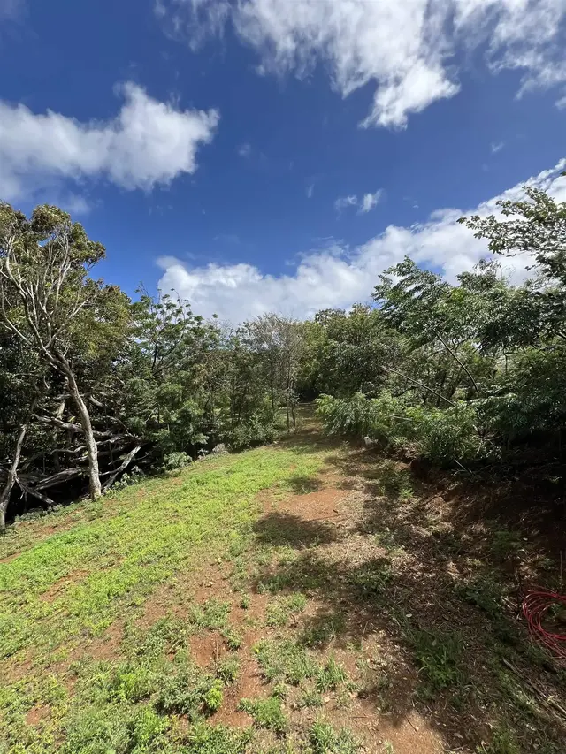 Listing Image for 50 Pauwela Rd Unit B 7 of 9