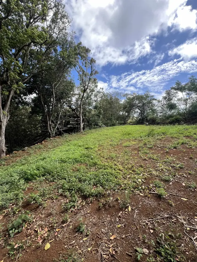 Listing Image for 50 Pauwela Rd Unit B 8 of 9