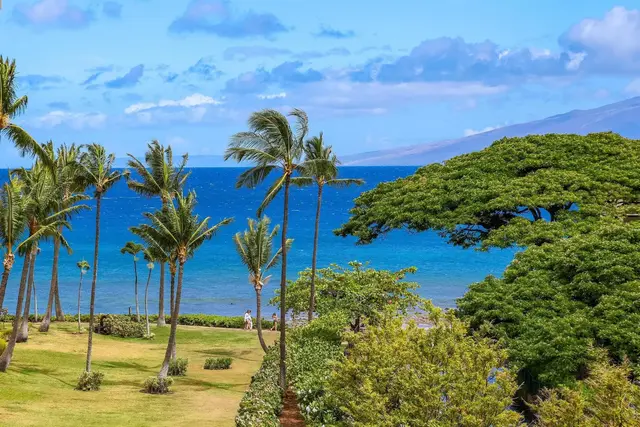 Listing Image for 3445 Lower Honoapiilani Rd 530 1 of 45