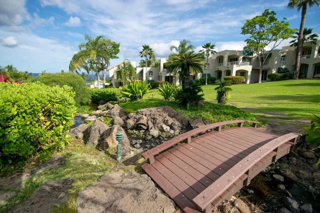 Listing Image for 3200 Wailea Alanui Dr 1001 43 of 45